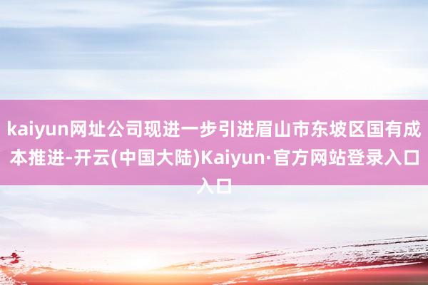kaiyun网址公司现进一步引进眉山市东坡区国有成本推进-开云(中国大陆)Kaiyun·官方网站登录入口