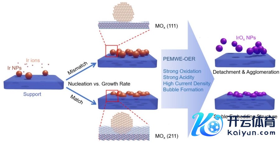熟化指点镶嵌式催化剂的蓄意念念路流露图