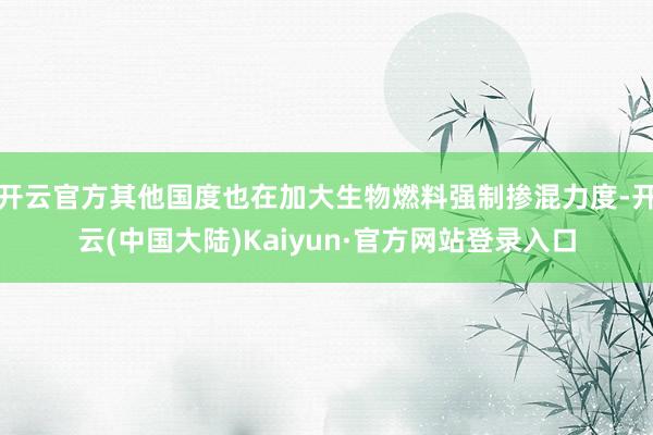 开云官方其他国度也在加大生物燃料强制掺混力度-开云(中国大陆)Kaiyun·官方网站登录入口